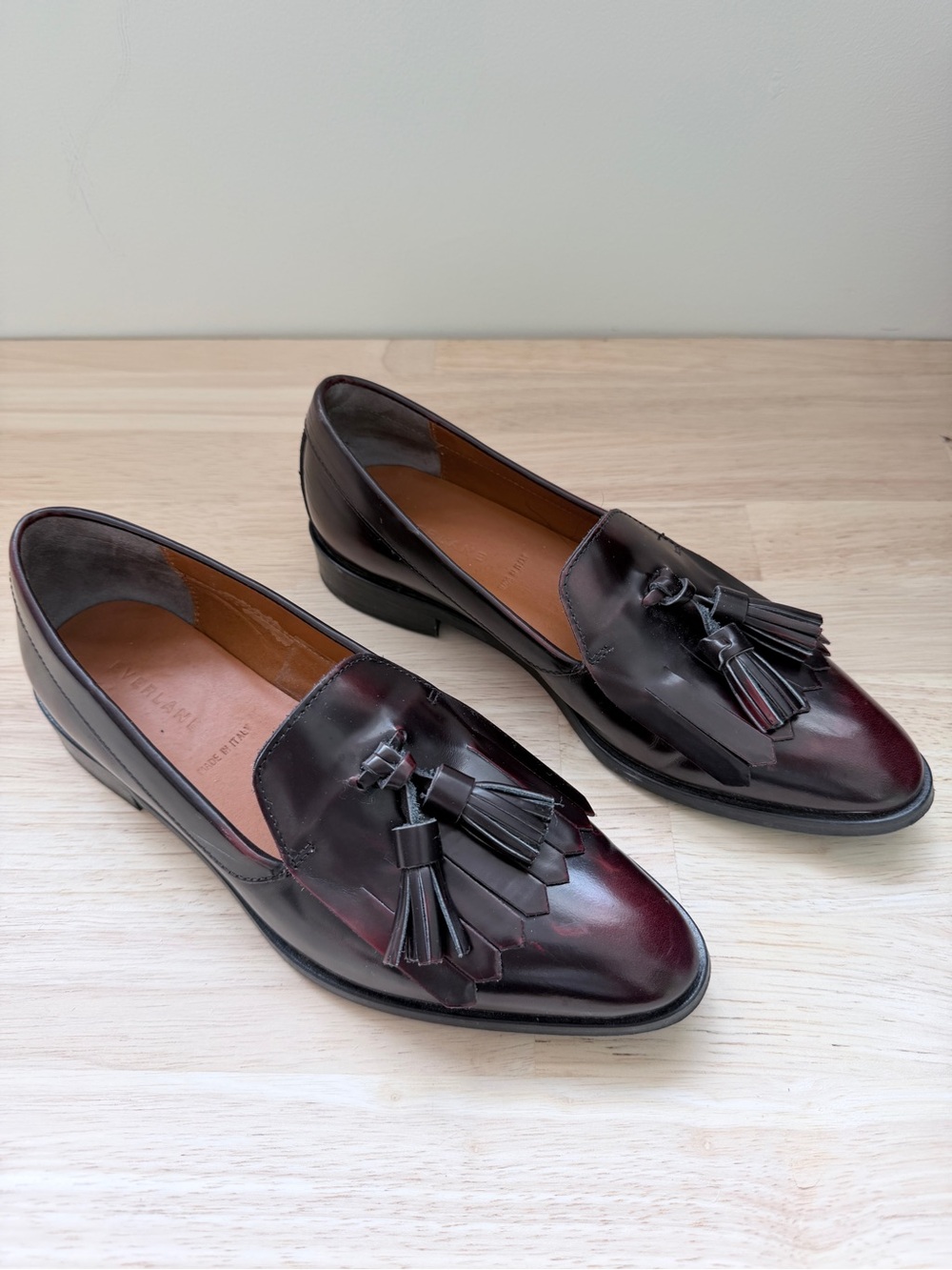 Everlane The Modern Tassel Loafer Oxblood Leather Loafers 6 | Italian Leather